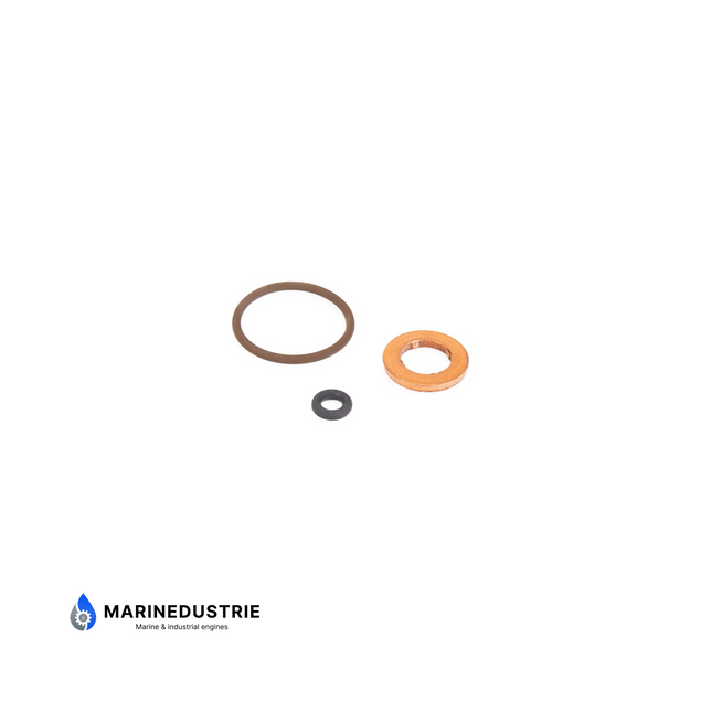 Verstuiver O-Ring kit Volvo Penta D3-110 - D3-220 - 31272771