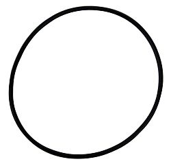 Volvo Penta O-Ring - 925258