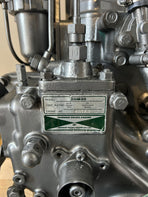 Yanmar 2GM20 revisionato