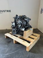 Yanmar 2GM20 revisionato