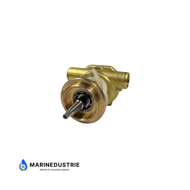 Impellerpomp Lombardini LDW Serie - ED0065845140-S